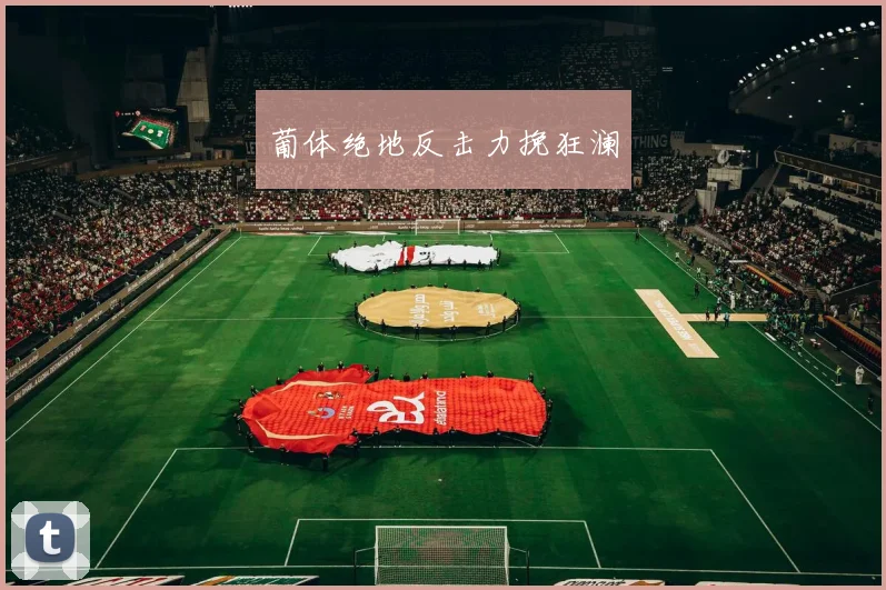 葡体绝地反击力挽狂澜
