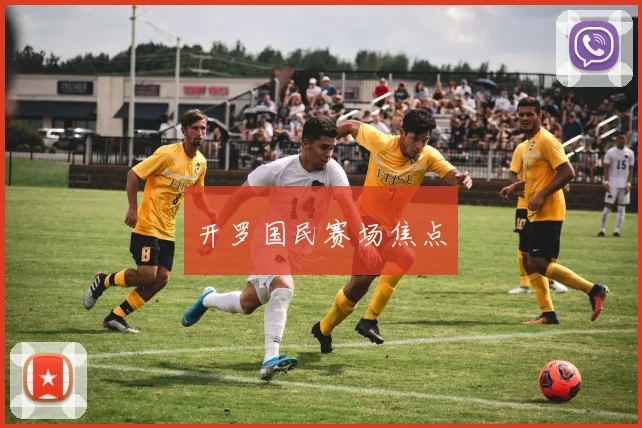 开罗国民赛场焦点