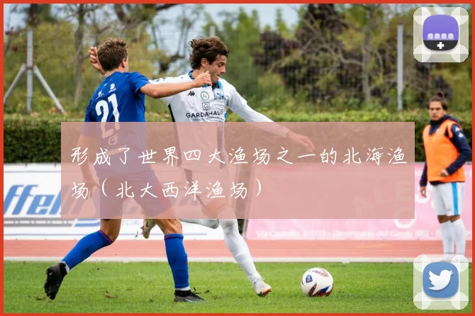 形成了世界四大渔场之一的北海渔场（北大西洋渔场）