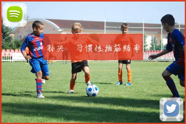 孙兴慜习惯性抽筋赔率