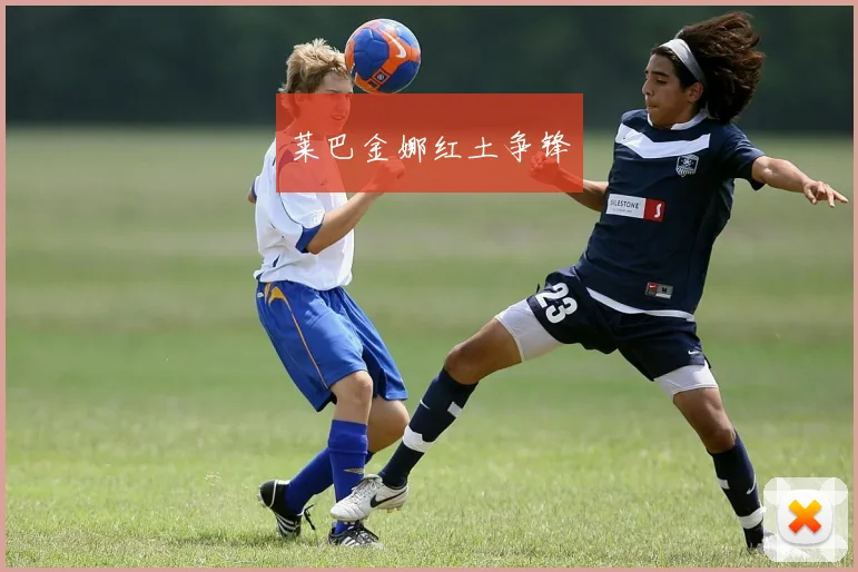 莱巴金娜红土争锋