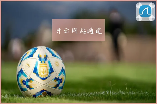 开云网站通道