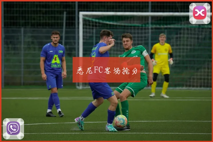 悉尼FC客场抢分
