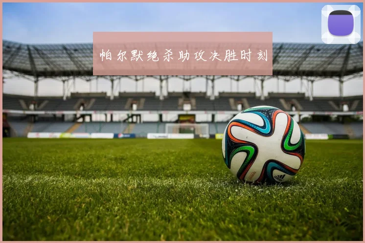 帕尔默绝杀助攻决胜时刻