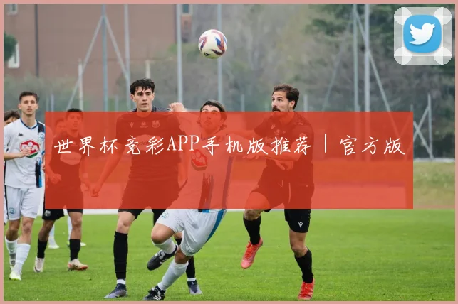 世界杯竞彩APP手机版推荐｜官方版