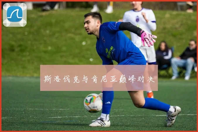 斯洛伐克与肯尼亚巅峰对决